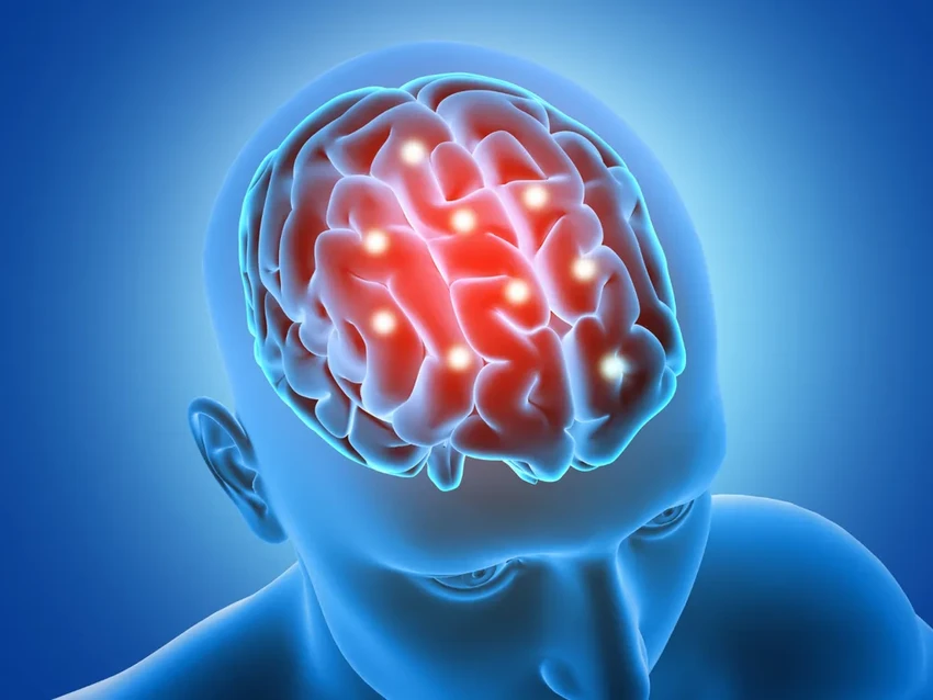 15 научных фактов о мозге: как работает наше серое вещество