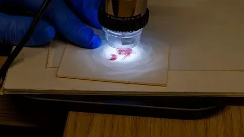 В пещере у Мертвого моря нашли древнюю багряницу