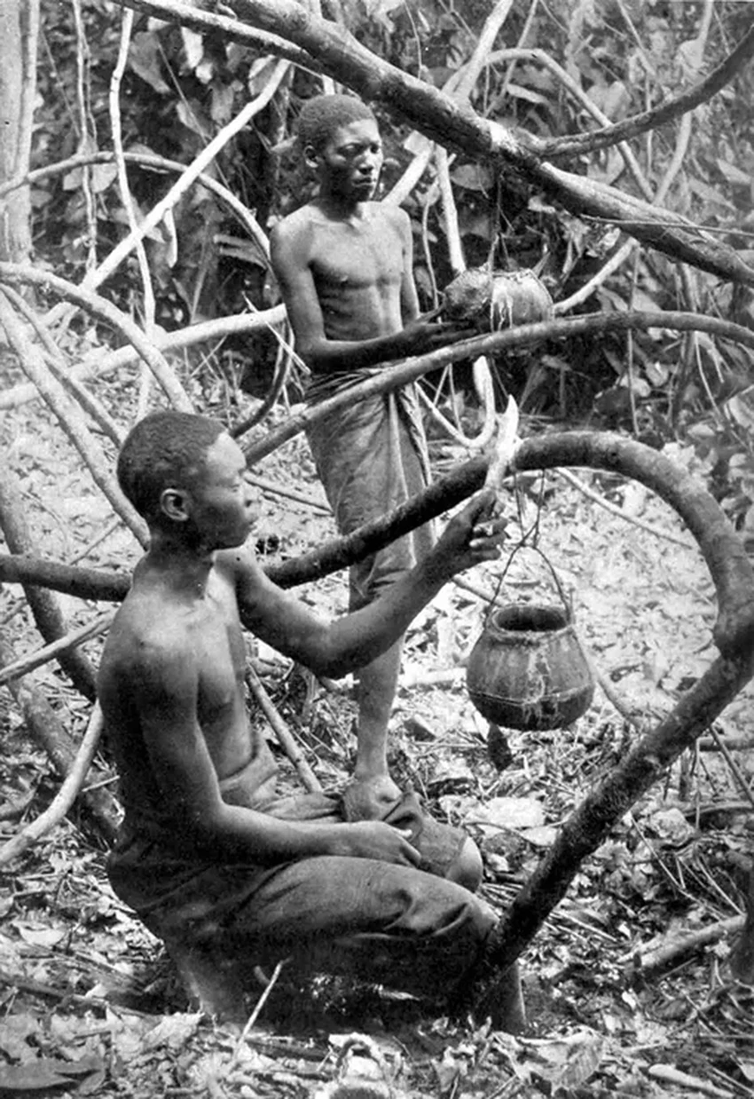 Король Леопольд II: как частная колония в Конго стала страной ужаса