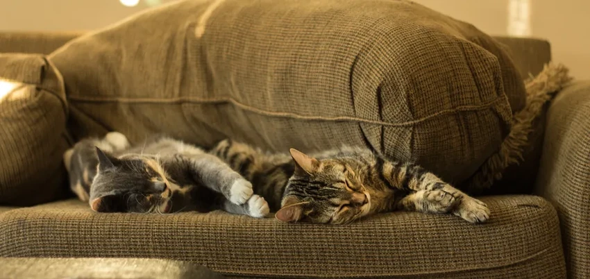 Какие короткие вечерние упражнения улучшают качество сна: данные учёных