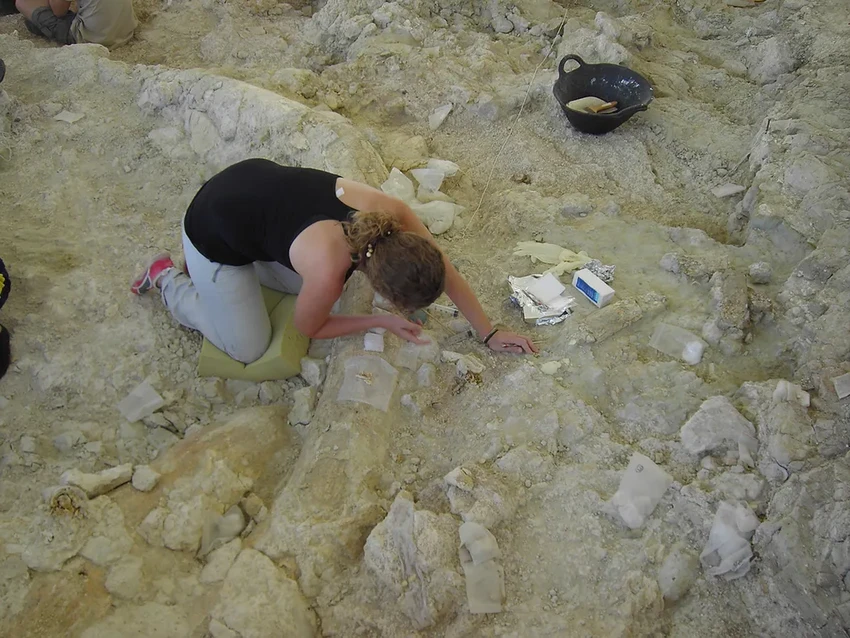 Древняя ловушка: как зыбучие пески делали мамонтов добычей людей и гиен