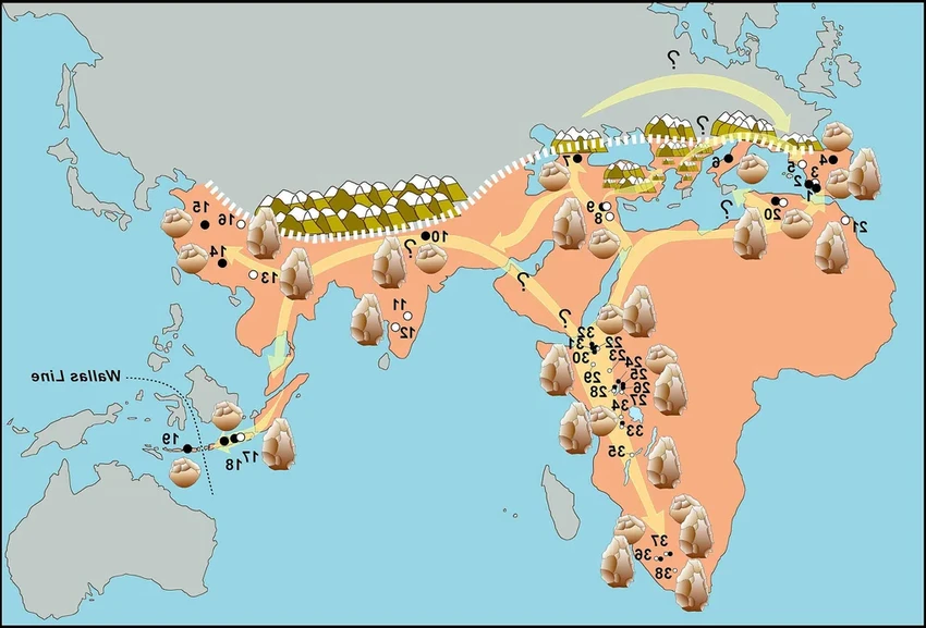 Первые люди в Европе: как предки человека преодолели Гибралтар 1,3 млн лет назад