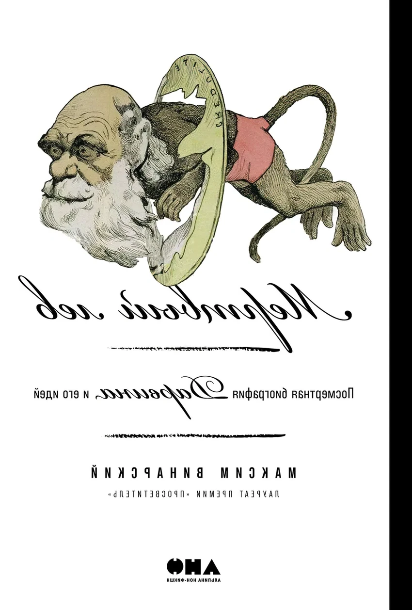 Что почитать из нон-фикшн: загробные миры, мифы о воде и будущее разума