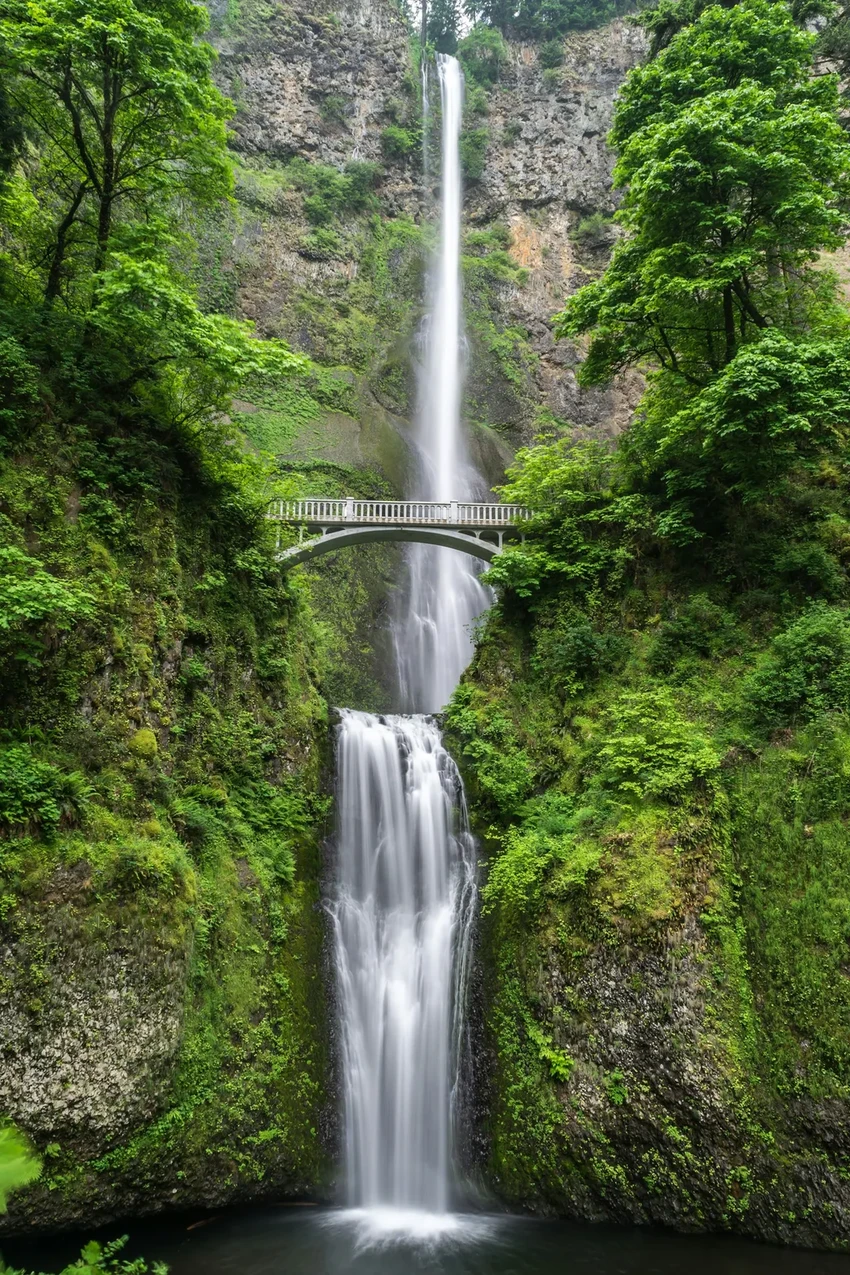 Как прогулки на природе меняют восприятие времени и «замедляют» его
