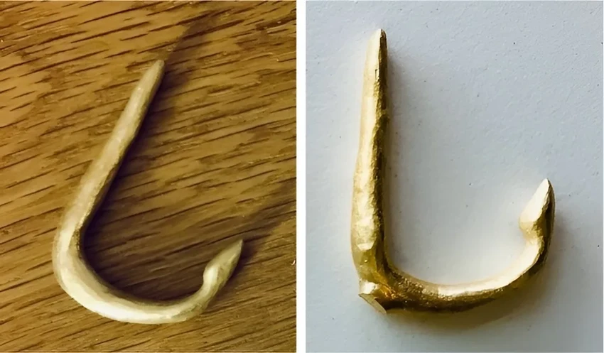 Древний крокодил и его последний ужин: история, которую рассказала мумия