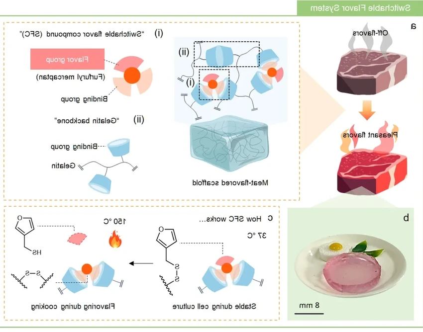 Учёные раскрыли секрет, как придать выращенному в лаборатории мясу настоящий вкус и аромат