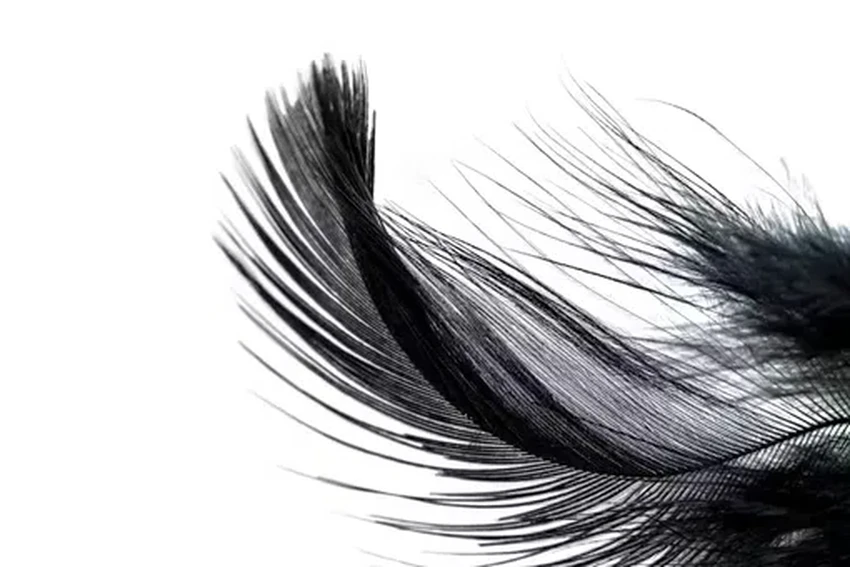 Почему вымерли неандертальцы? Возможно, им не хватило метафор