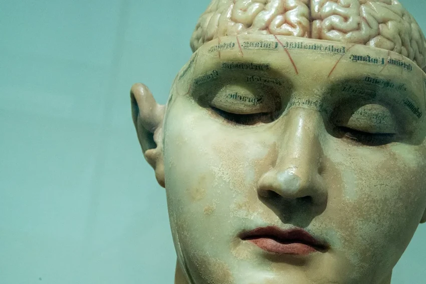 Как мозг превращает увиденное в эмоции и действия: новое открытие