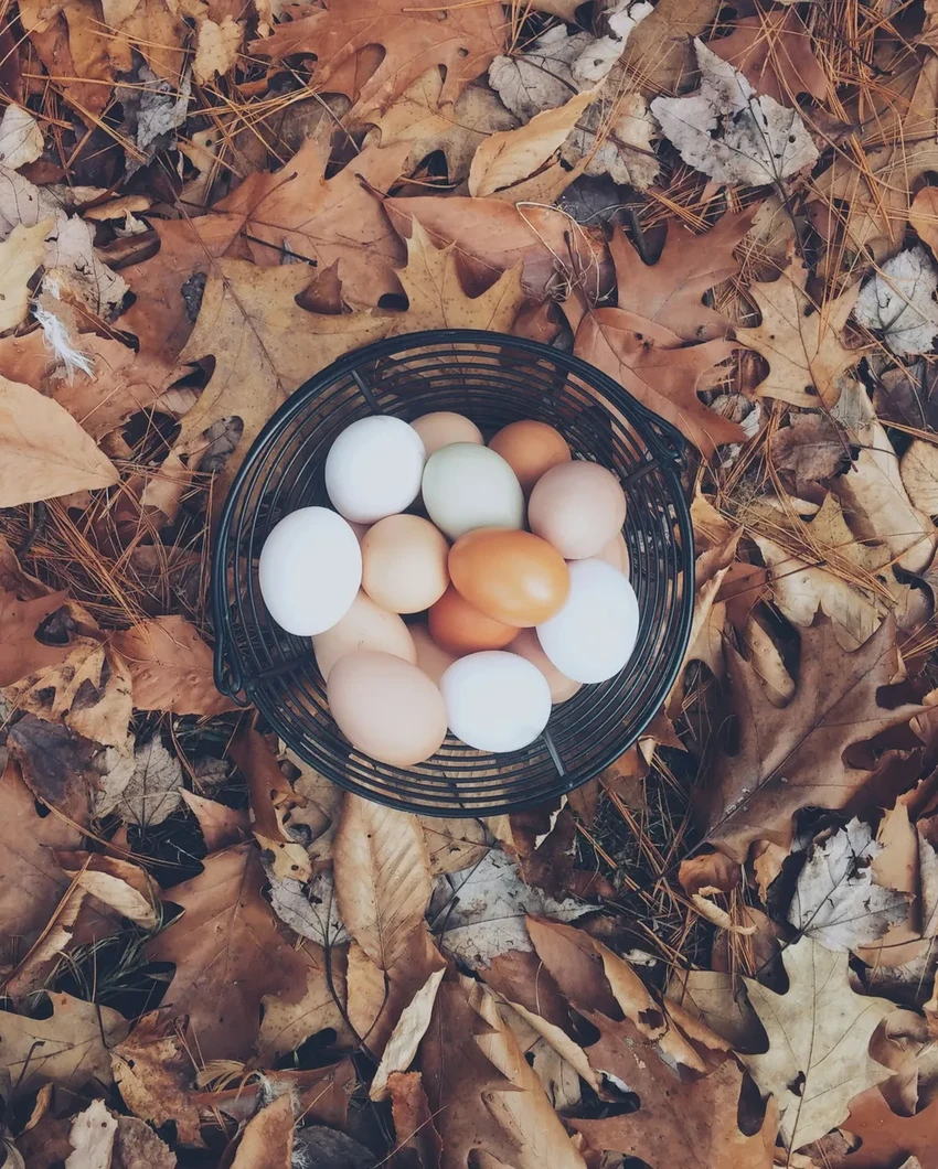Исследование: где скрываются опасные «вечные химикаты» ПФАС