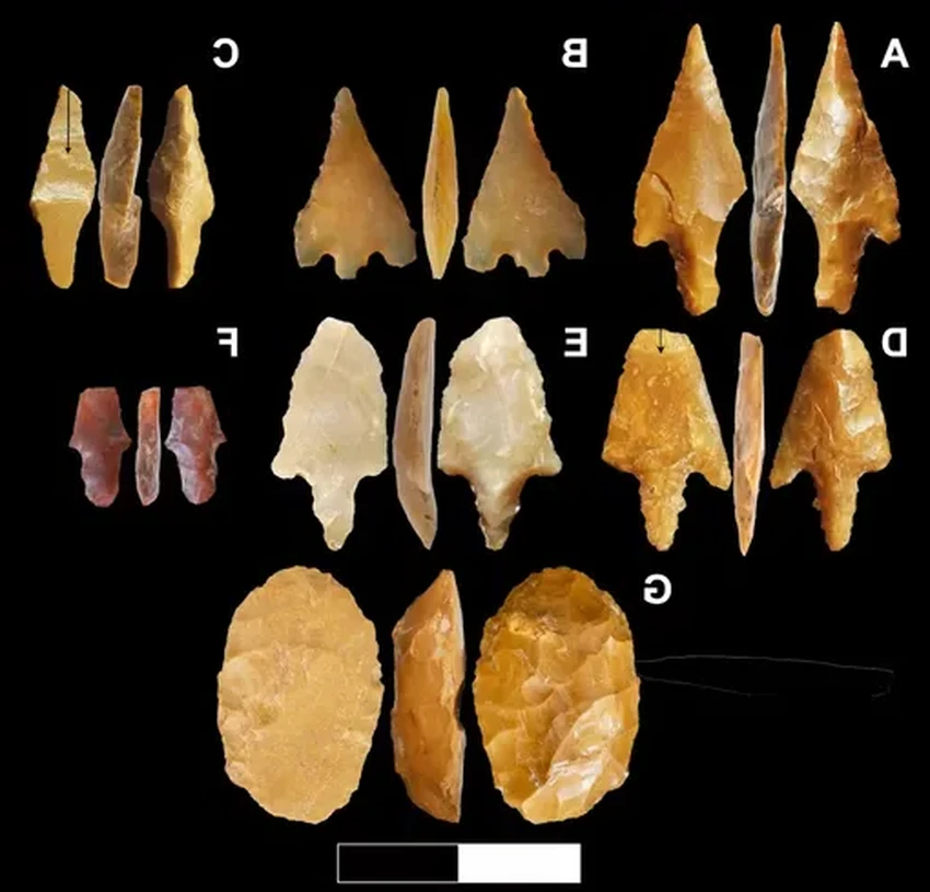 Процветающие культуры древней Аравии: миф о бесплодной земле развеян