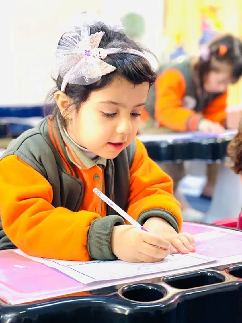 Почему правшей на Земле 90%: эволюционная загадка человечества