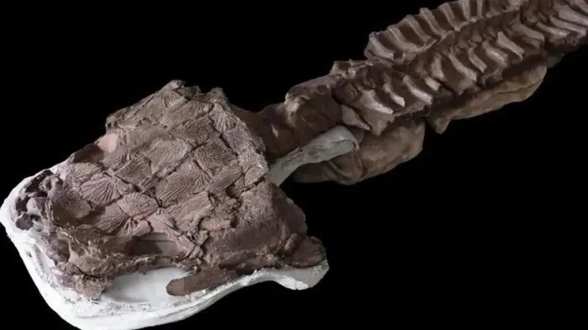 Гигантский хищник с головой как унитаз: кто правил болотами до динозавров