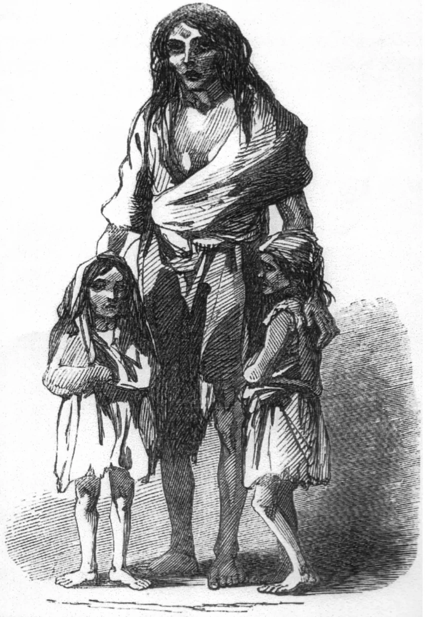 Великий картофельный голод в Ирландии 1845-1852 годов: причины и последствия