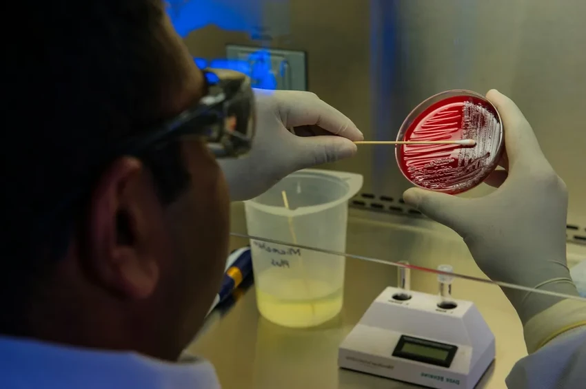 Как отключить один белок, чтобы жир в организме начал сжигать сам себя