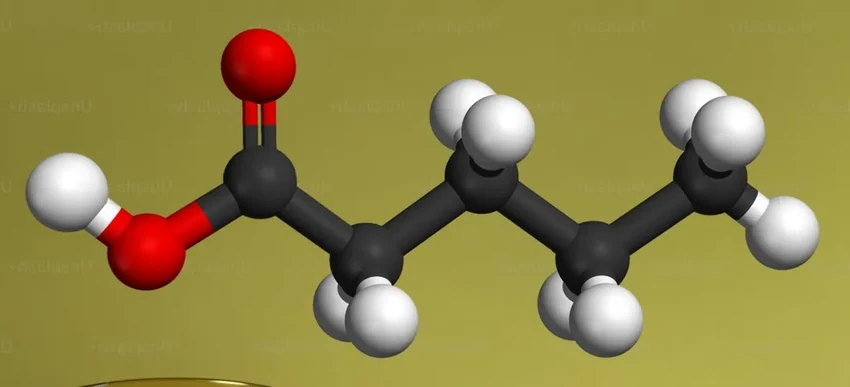 Бактерии против алкоголизма: как микробиом кишечника помогает лечить зависимость