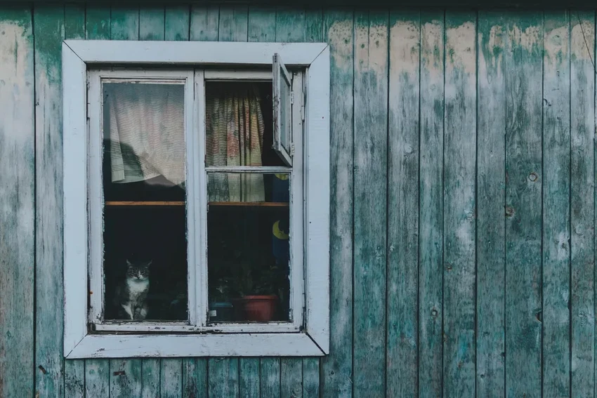 Как мозг переживает ностальгию: учёные нашли её уникальный «горько-сладкий» код