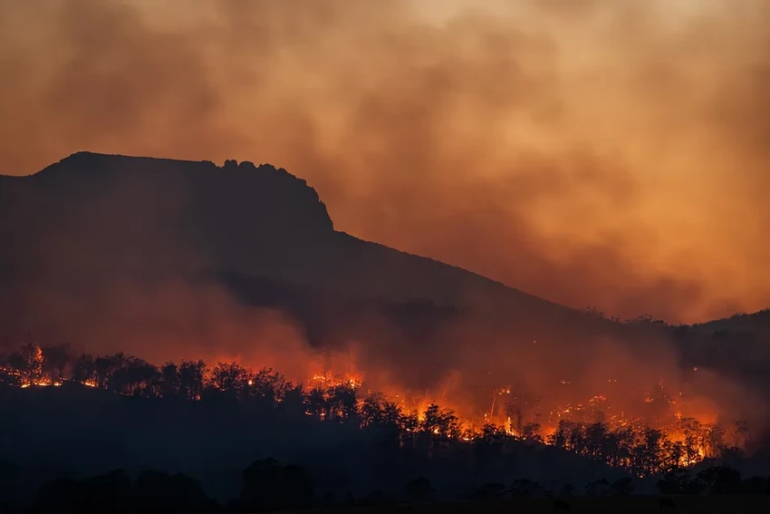 Планета в огне: экстремальных лесных пожаров стало в два раза больше