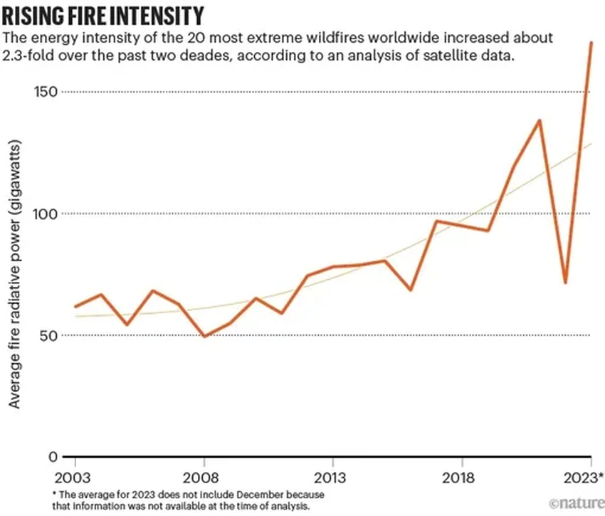 Планета в огне: экстремальных лесных пожаров стало в два раза больше