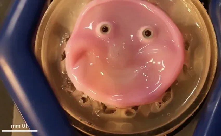 Робот с живой кожей: ученые создали лицо с человеческой мимикой