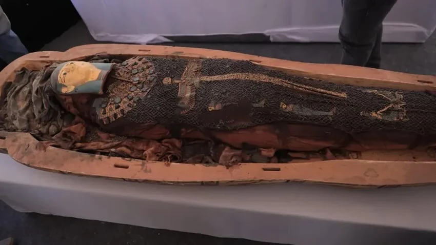 Древний Египет и «Симпсоны»: почему на саркофаге нашли изображение Мардж