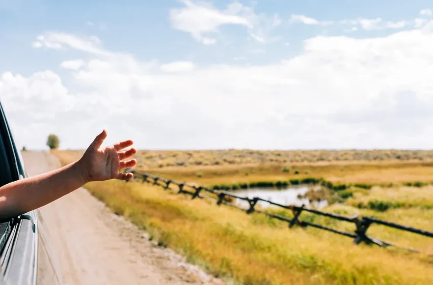 3 способа избежать плохого бензина в дороге: советы для автопутешественников