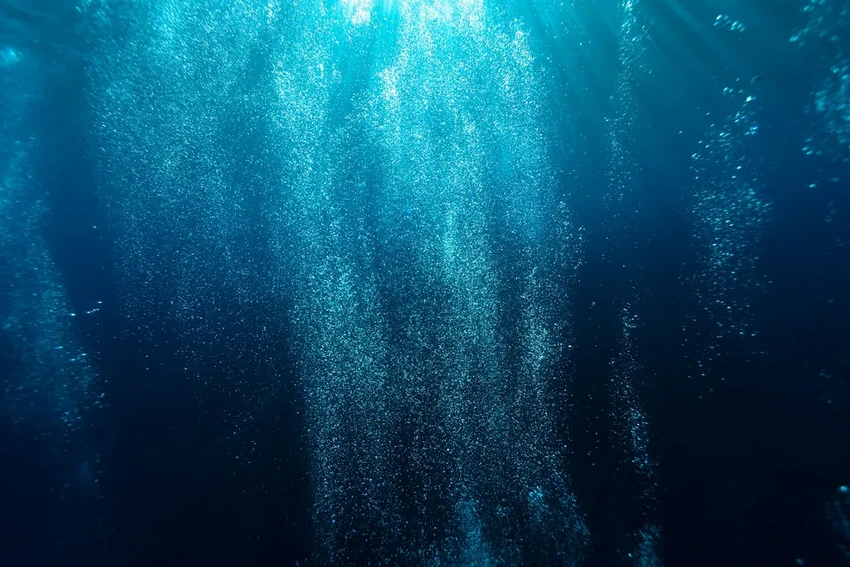 Рекордное погружение черепахи: глубже подлодки на 1300 метров