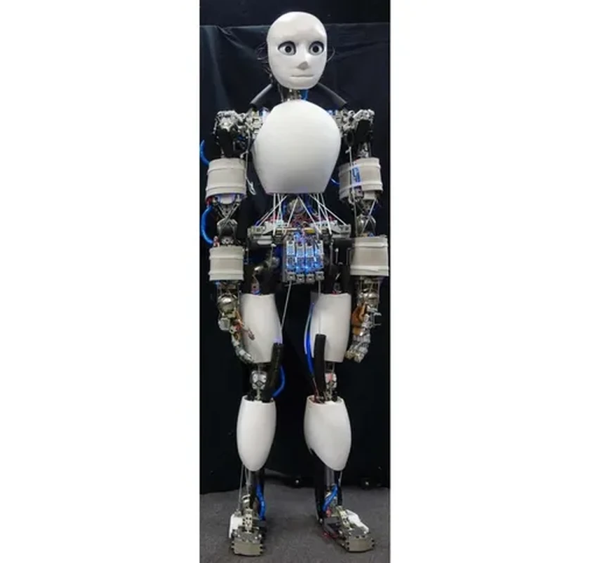 Японские ученые посадили робота-гуманоида за руль автомобиля для тестов