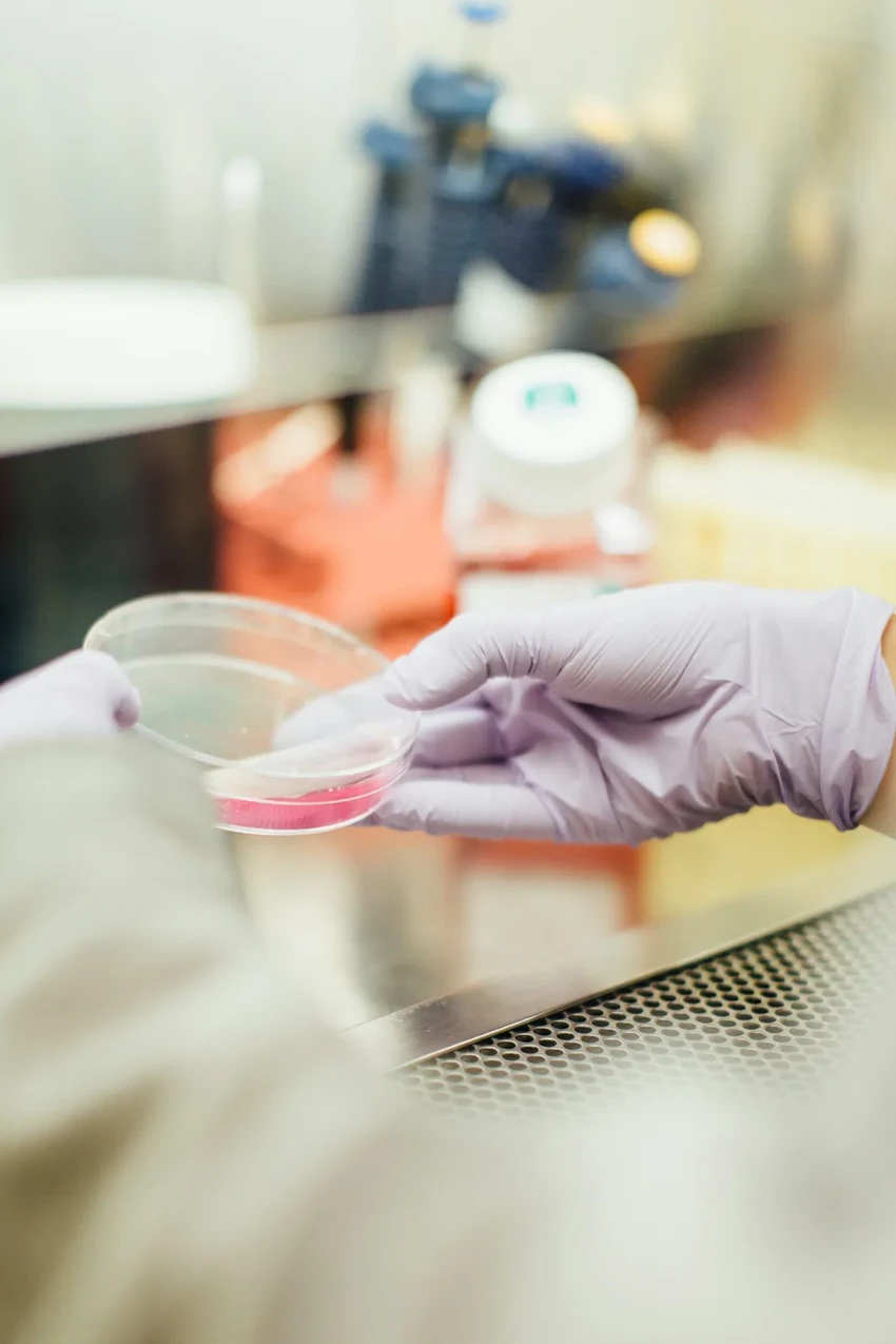 Артемизинин против СПКЯ: как древнее лекарство помогает при поликистозе