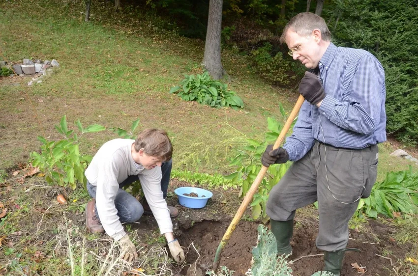 Как законно искать древности? Археолог о хобби без нарушений