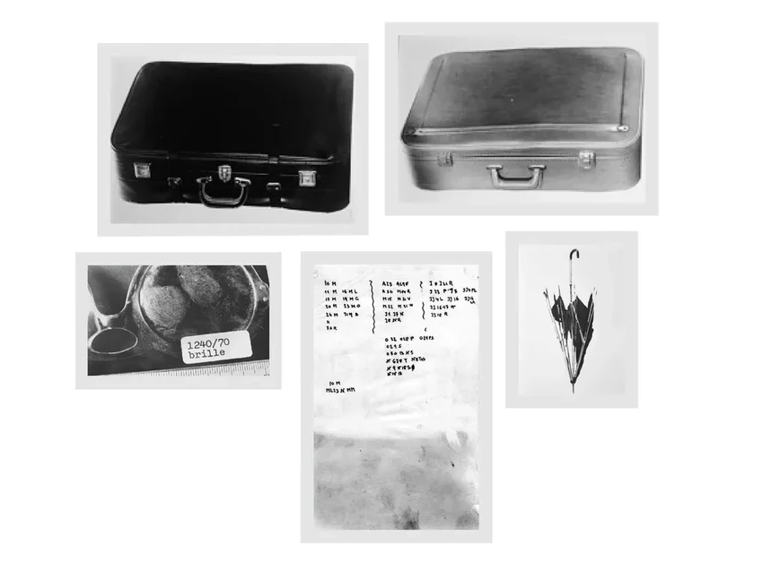 Загадка долины Исдален: нераскрытая тайна смерти неизвестной женщины в Норвегии