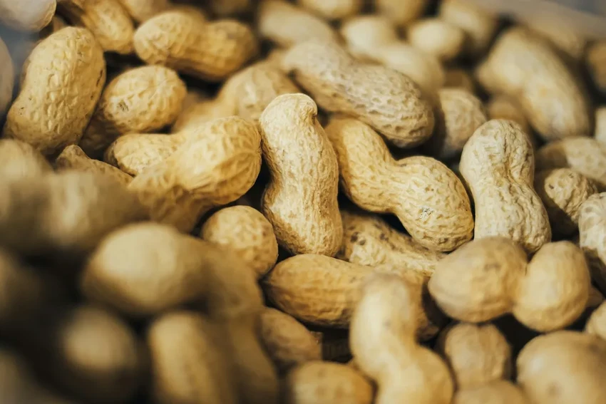 Раннее знакомство с арахисом: как предотвратить аллергию у ребенка