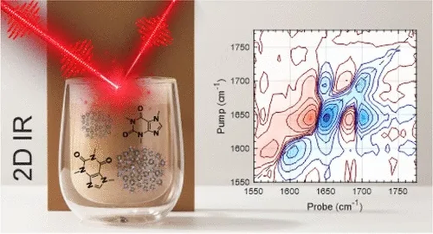 Что происходит в чашке: научный взгляд на взаимодействие молока и кофе