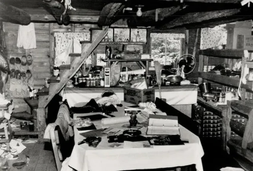 Культ «Дети муравейника»: страшная правда о канадской секте с пытками