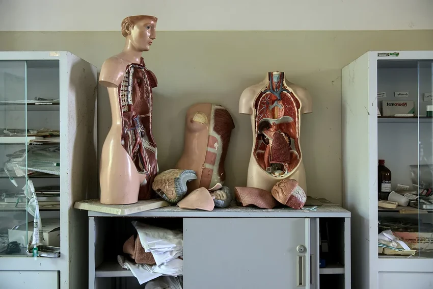 Сильный кашель после операции: как у мужчины выпал кишечник