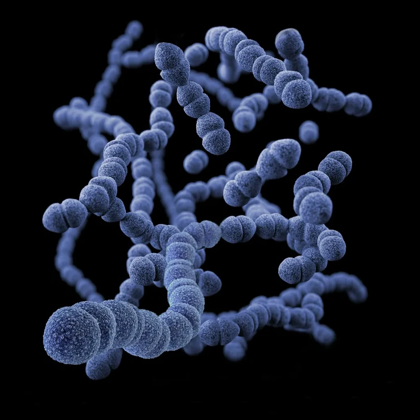 Прорыв в лечении ВЗК: ученые нашли главную причину воспаления кишечника