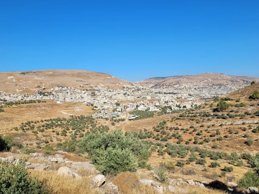 Древнейшие скребки Квина: как Homo erectus пережили вымирание слонов