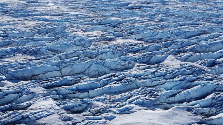 Гигантские вирусы на арктических льдах: как они могут замедлить таяние
