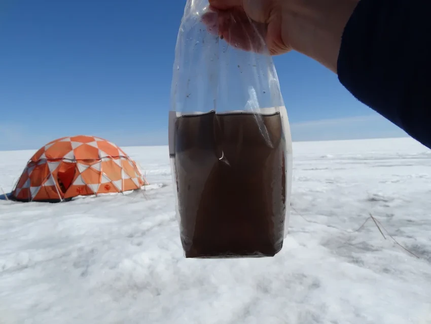 Гигантские вирусы на арктических льдах: как они могут замедлить таяние