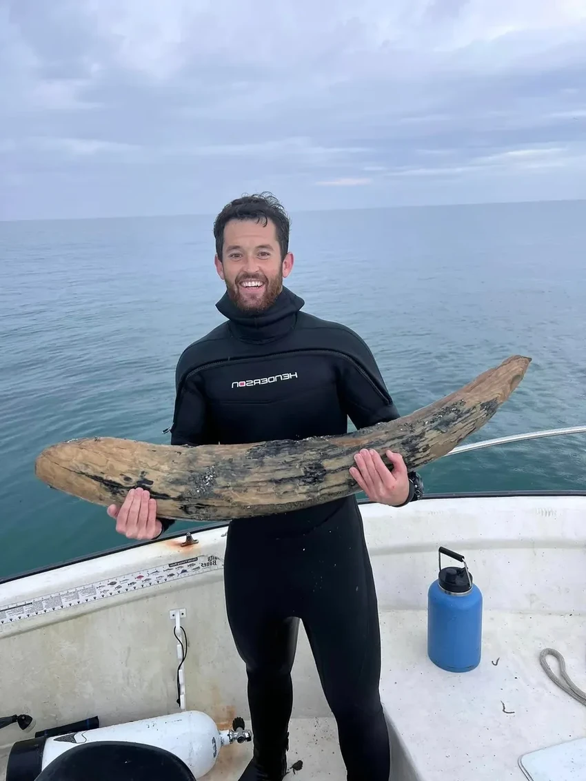 У побережья Флориды нашли гигантский бивень доисторического мастодонта