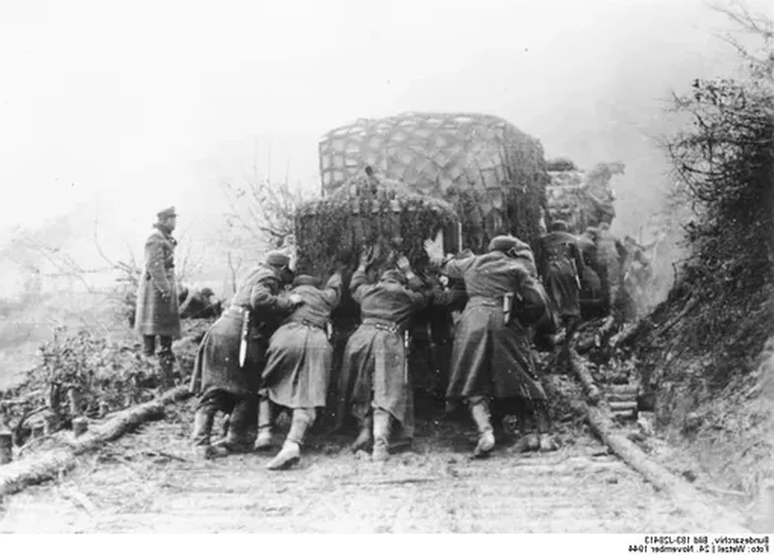 Гать своими руками: древняя технология для дороги через болото