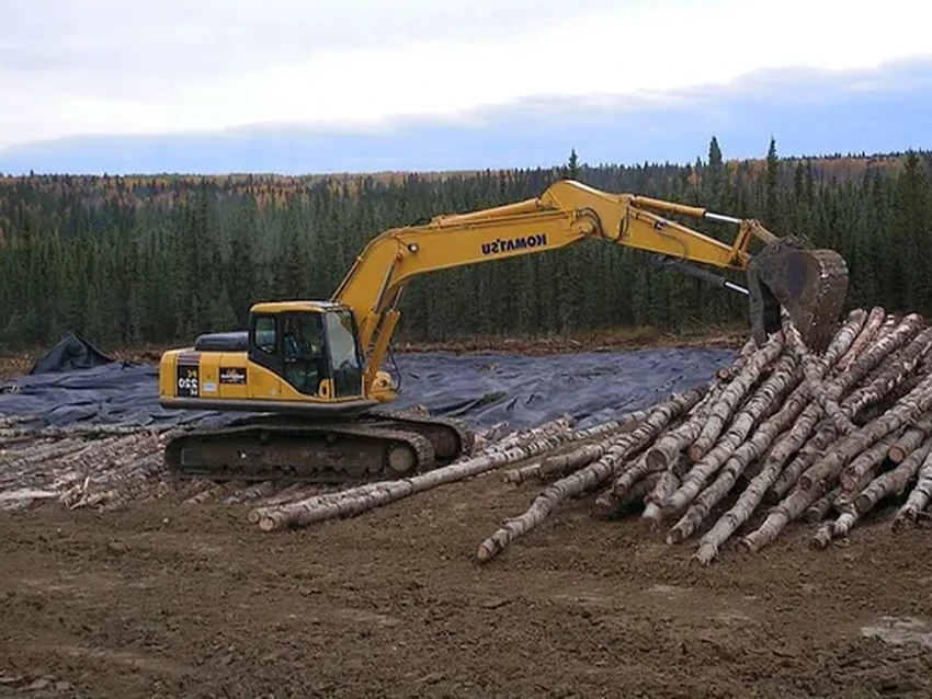 Гать своими руками: древняя технология для дороги через болото