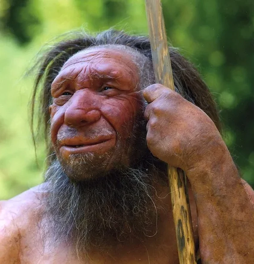 Скрещивание с неандертальцами длилось 6800 лет: как это изменило наш геном