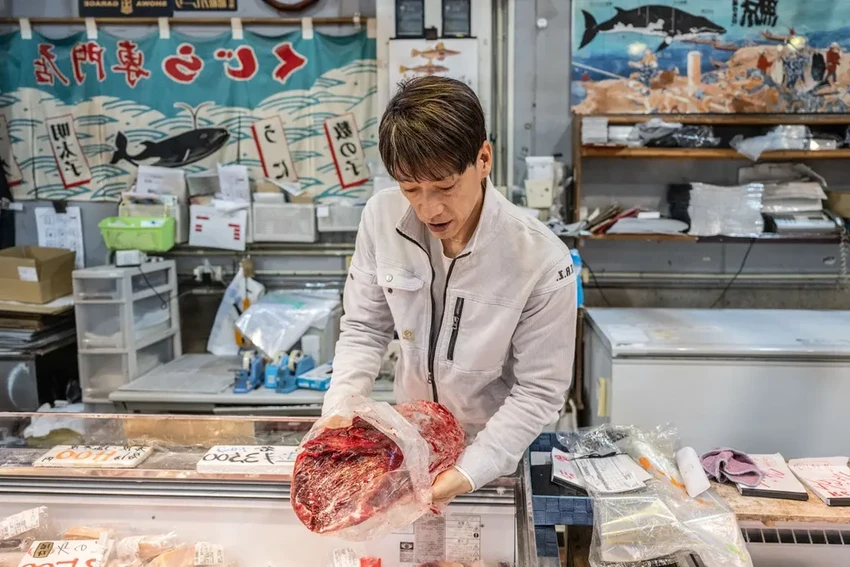 Новое судно для китобойного промысла в Японии: почему охота на китов продолжается