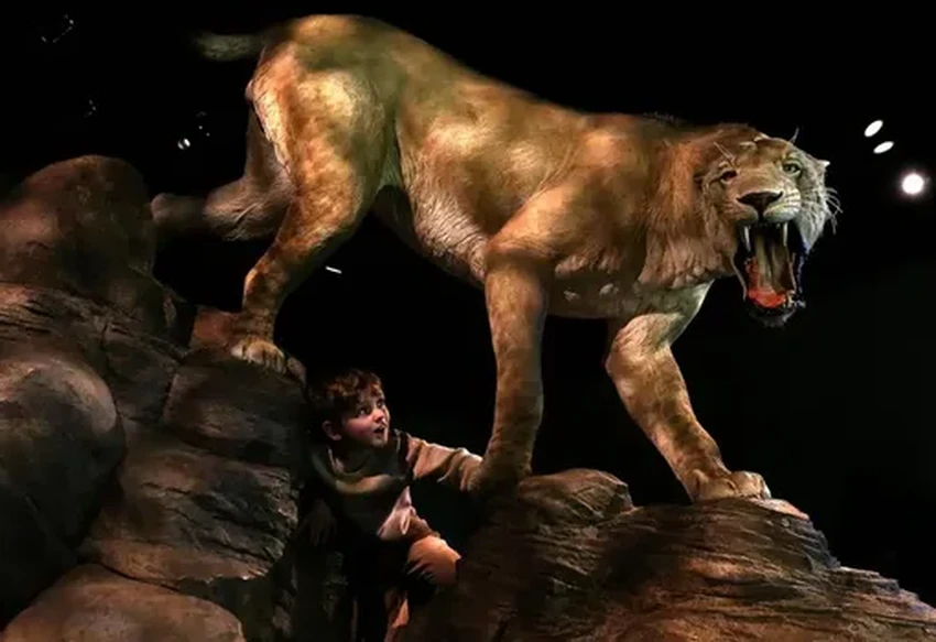 Коллаген раскрывает тайну: чьи кости скрывались в музеях 10 000 лет