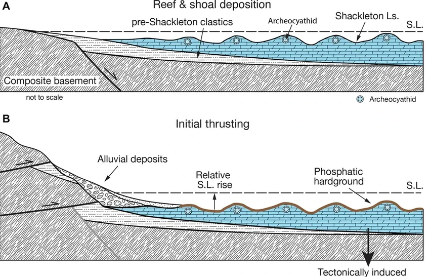 Тектоника плит: первое вымирание кембрийского периода