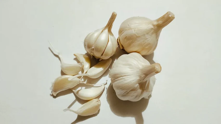 Как унять зубную боль дома: 10 простых и эффективных методов