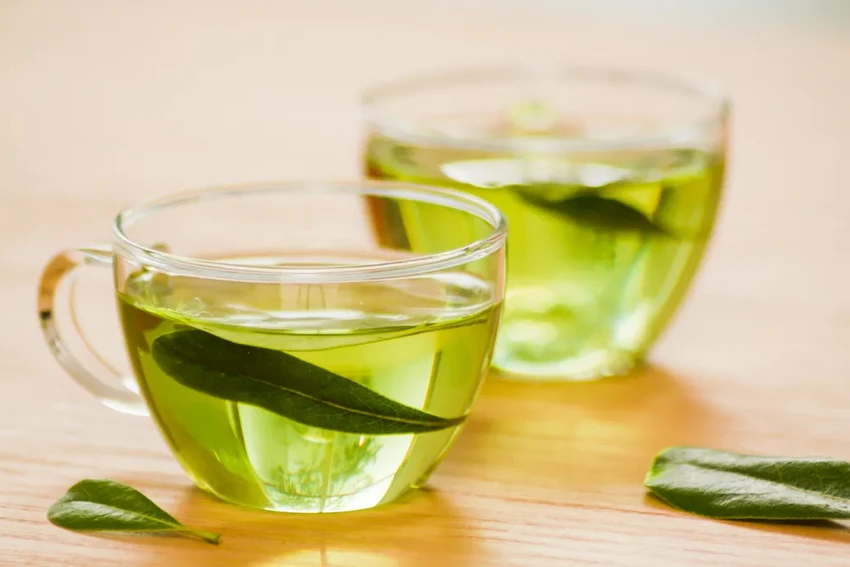 Какой чай самый полезный? Ученые о правильном заваривании и вреде для здоровья