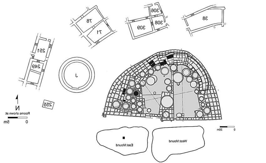 Ара в каньоне Чако: зачем индейцы пуэбло держали тропических попугаев