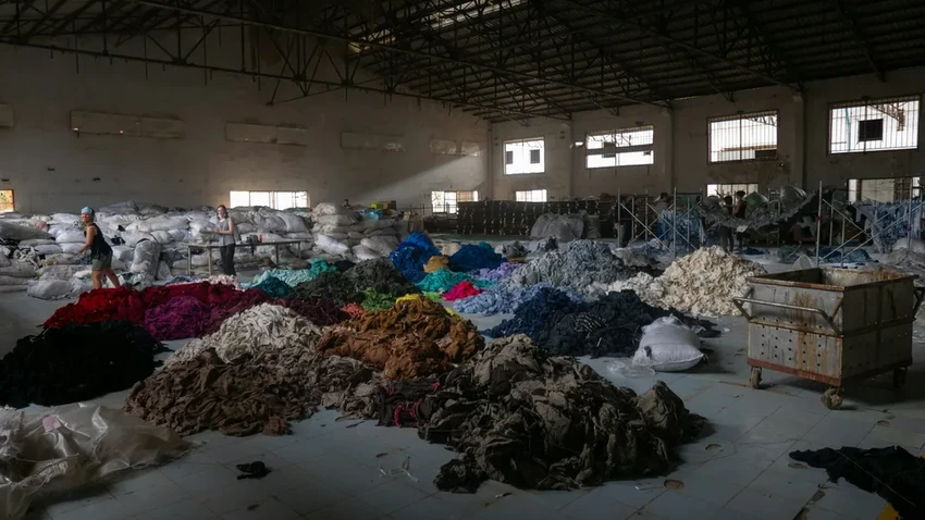 «Вечные химикаты» в одежде: как популярный бренд нарушает нормы безопасности