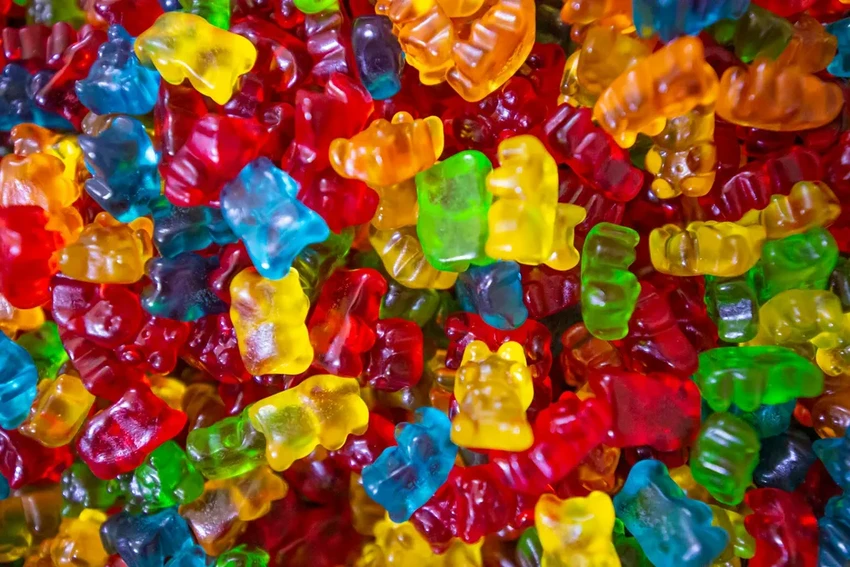 Как фастфуд и снеки влияют на память? Новые данные учёных